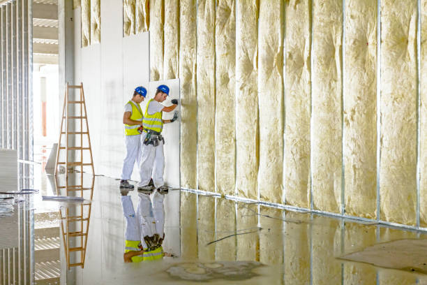 Best Insulation Maintenance and Repair in Henning, TN